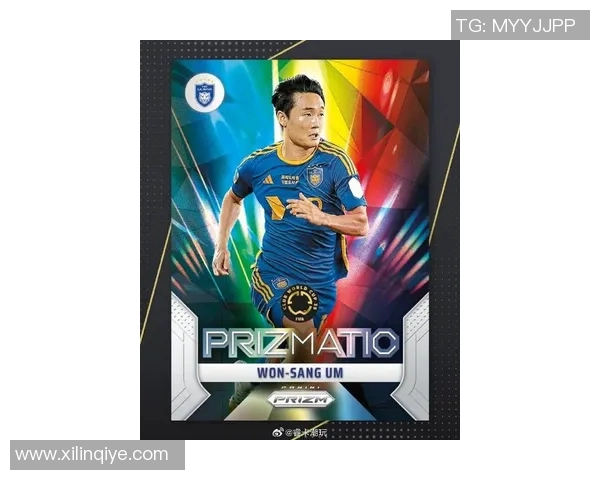 《足球周刊精选50大球星卡册揭晓全球足坛传奇人物排名与精彩瞬间》